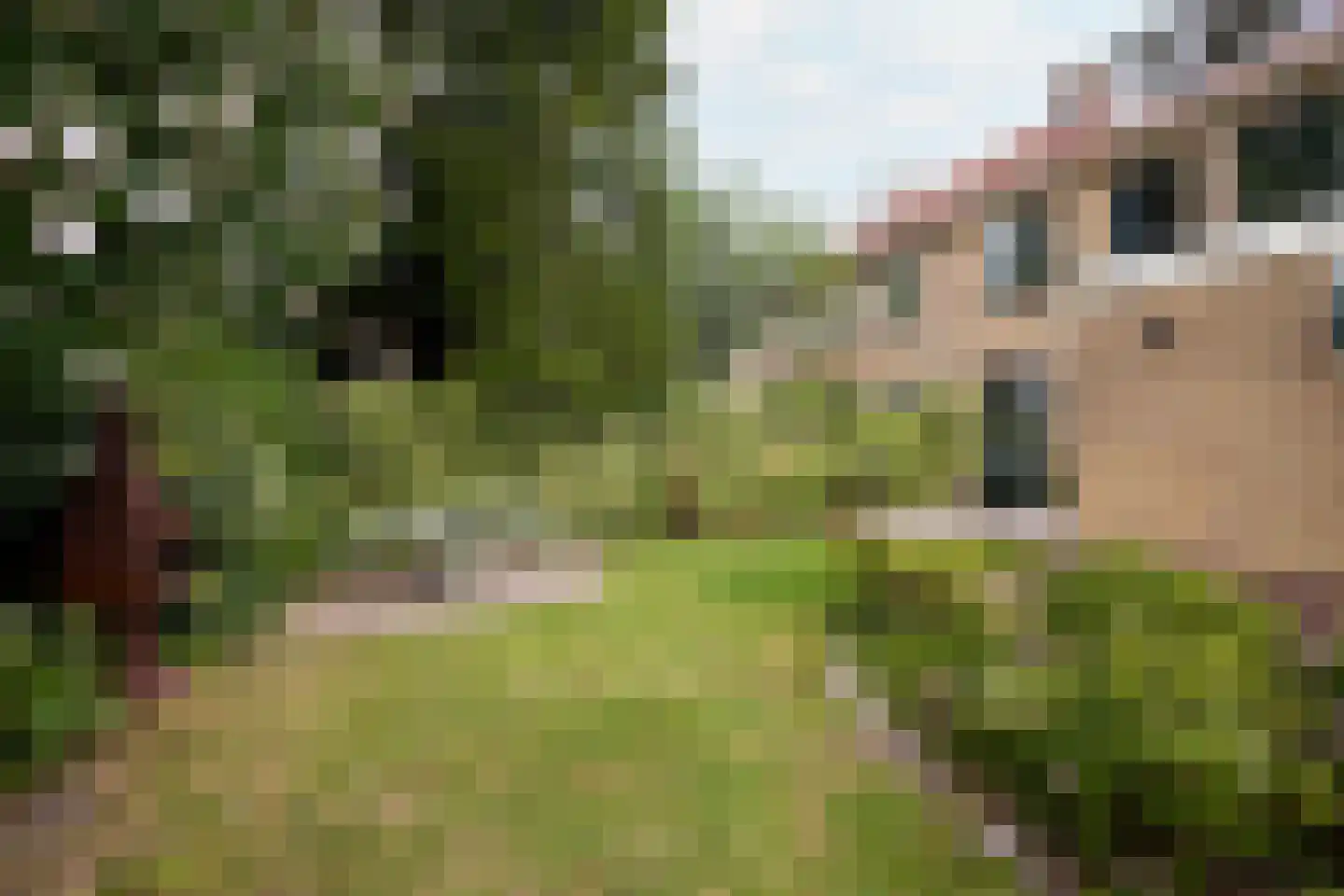 Ariëns 29 Avenhorn thumbnail 51