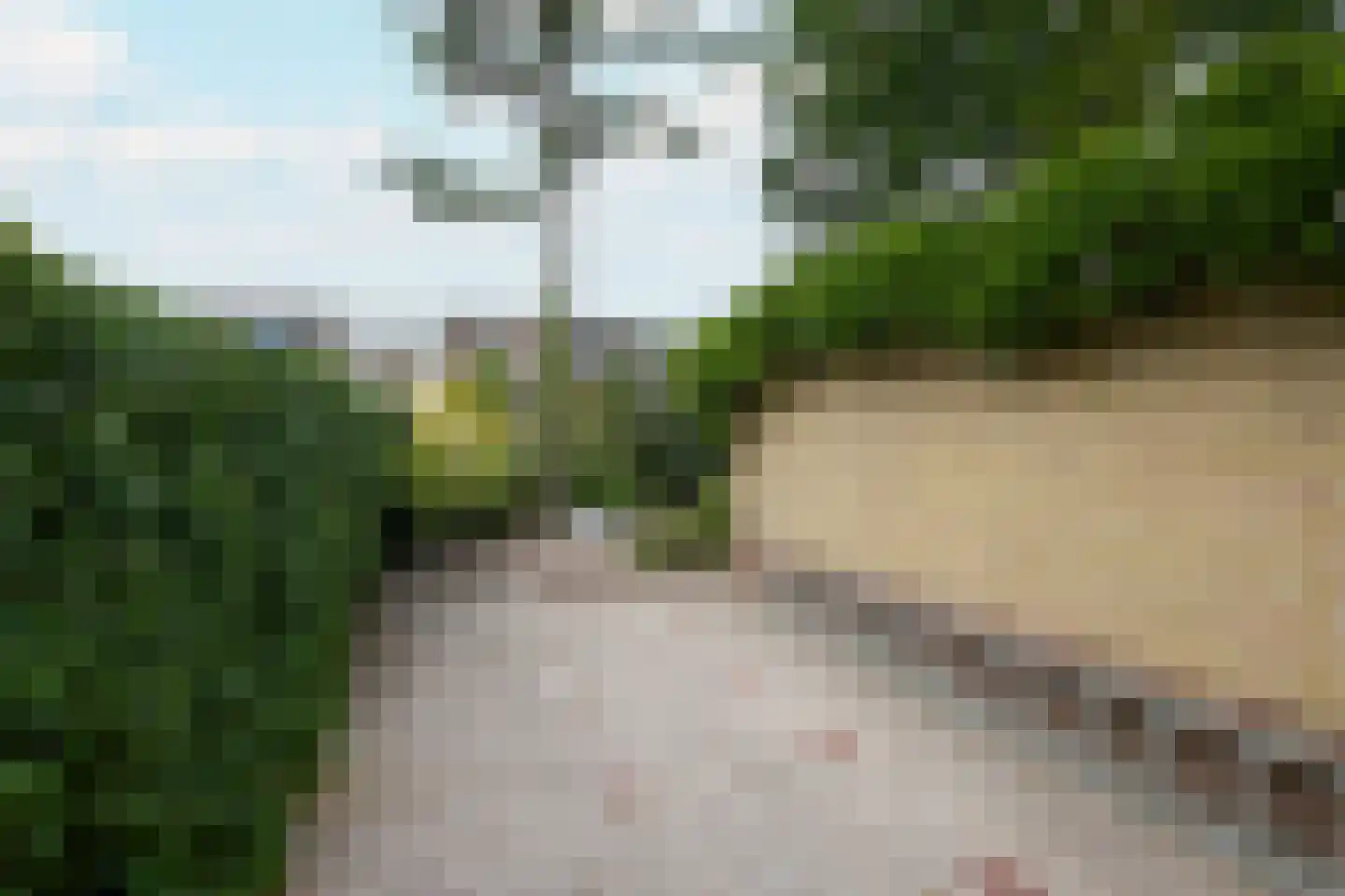 Ariëns 29 Avenhorn thumbnail 53