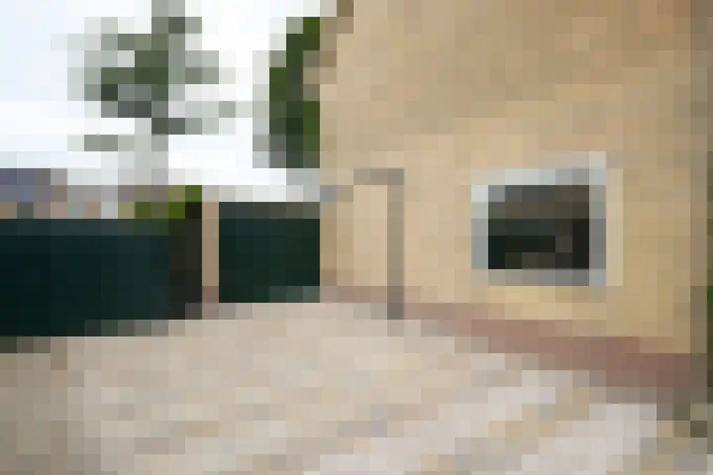 Ariëns 29 Avenhorn thumbnail 8
