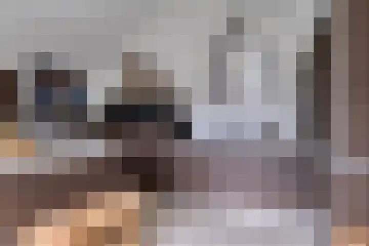 Ariëns 35 Avenhorn thumbnail 10