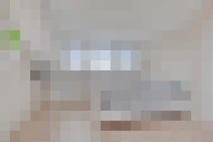 Ariëns 35 Avenhorn thumbnail 17