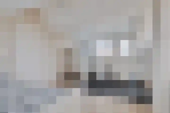 Ariëns 35 Avenhorn thumbnail 18