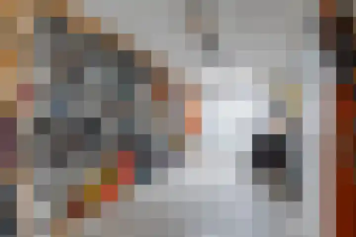 Ariëns 35 Avenhorn thumbnail 19