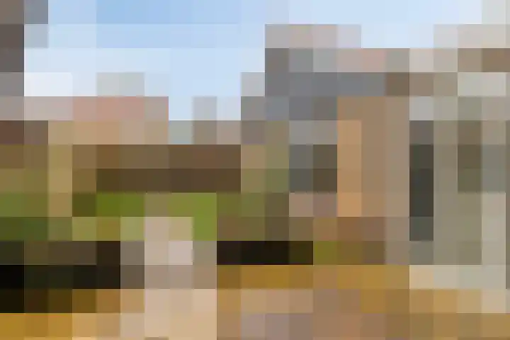 Ariëns 35 Avenhorn thumbnail 20