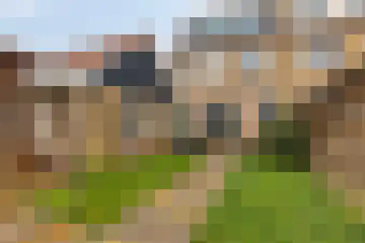 Ariëns 35 Avenhorn thumbnail 21