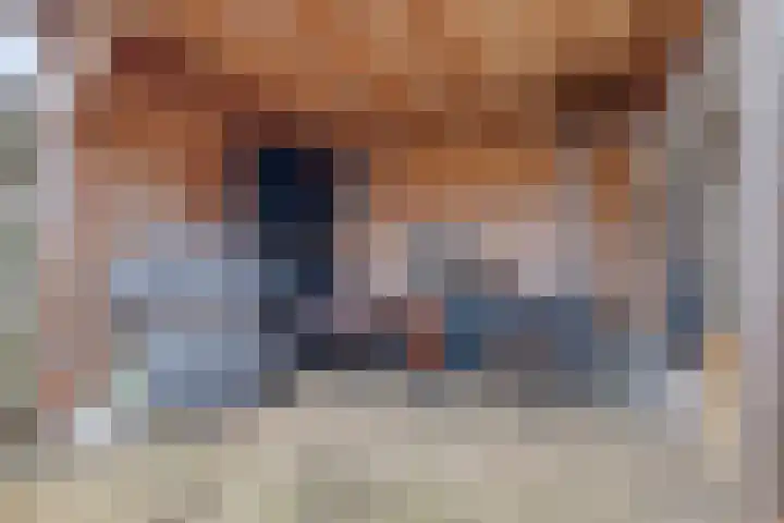Ariëns 35 Avenhorn thumbnail 22