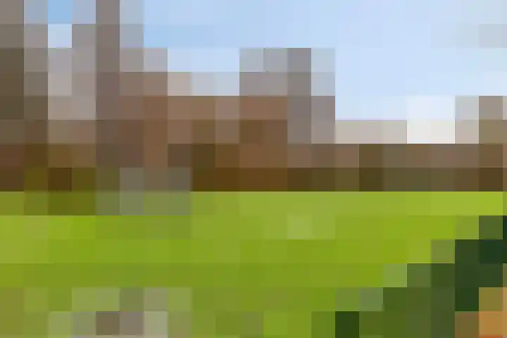Ariëns 35 Avenhorn thumbnail 23