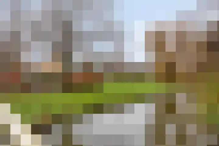 Ariëns 35 Avenhorn thumbnail 24