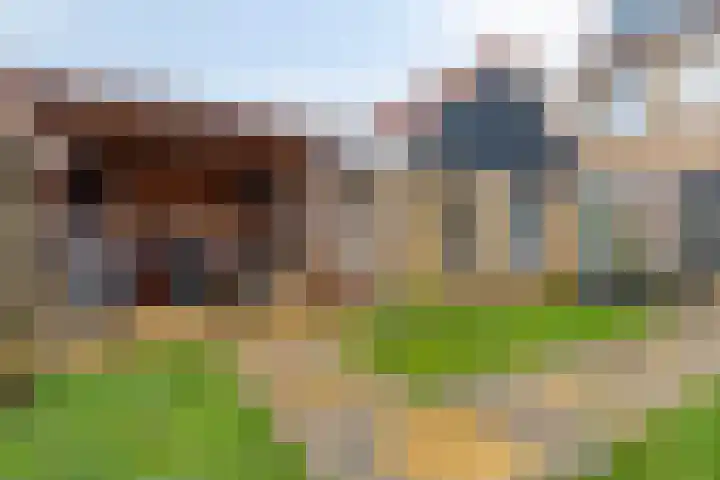 Ariëns 35 Avenhorn thumbnail 4