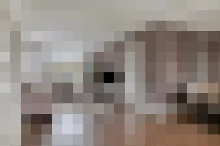 Ariëns 35 Avenhorn thumbnail 7