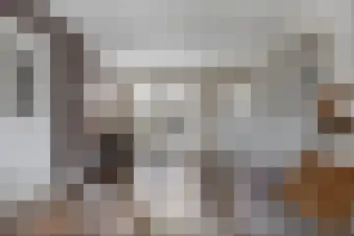 Ariëns 35 Avenhorn thumbnail 8