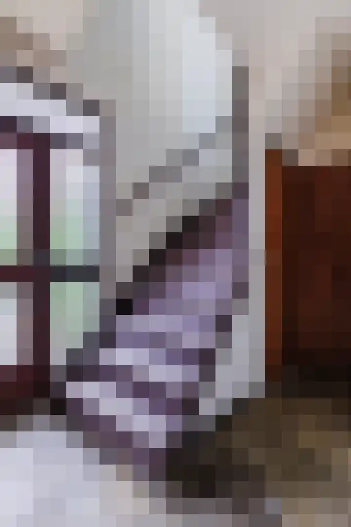 Ariënsstraat 58 Tegelen thumbnail 8