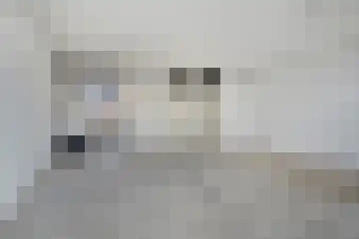 Ariensware 22 Zwolle thumbnail 10