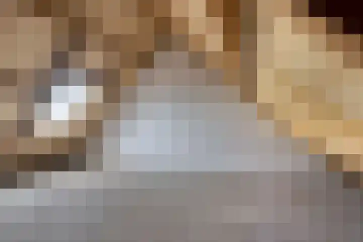 Ariensware 22 Zwolle thumbnail 27
