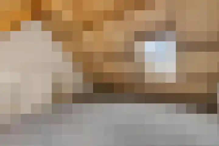 Ariensware 22 Zwolle thumbnail 28