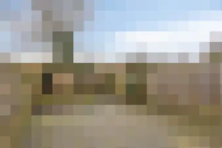 Ariensware 22 Zwolle thumbnail 29