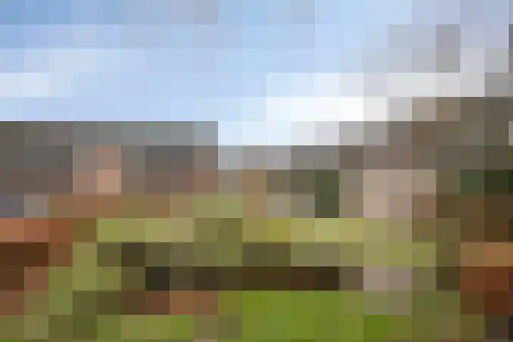 Ariensware 22 Zwolle thumbnail 31