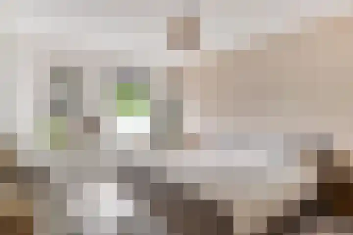 Ariënswei 3 Venlo thumbnail 14