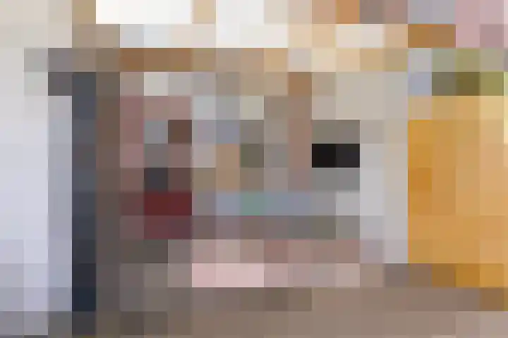 Ariënswei 3 Venlo thumbnail 22