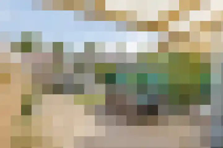 Ariënswei 3 Venlo thumbnail 23