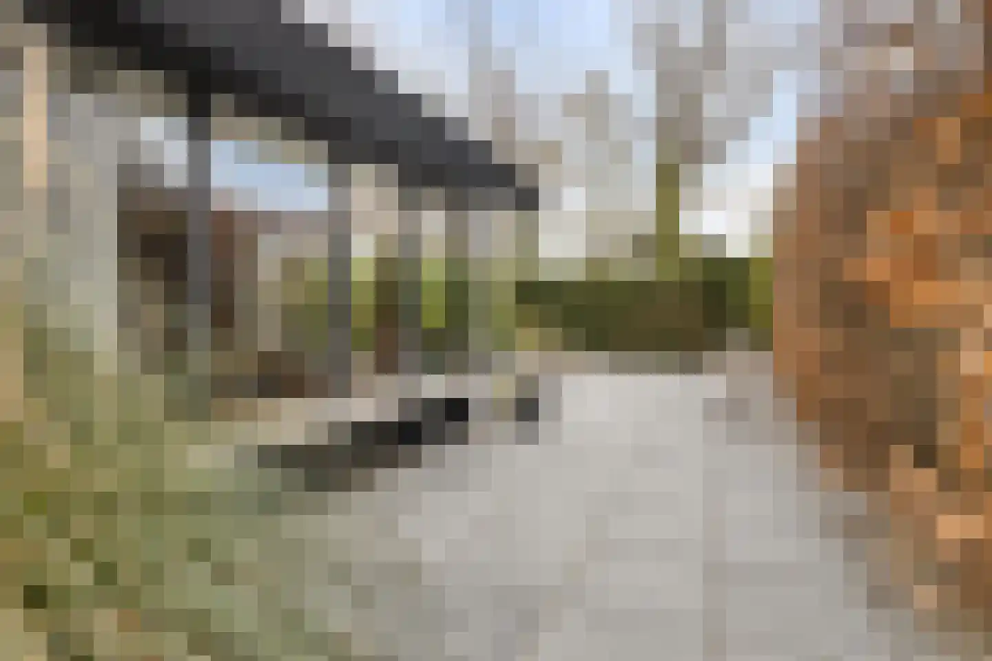Ariënswei 3 Venlo thumbnail 24