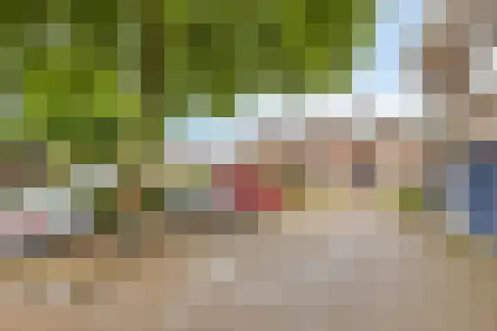 Ariënswei 3 Venlo thumbnail 27