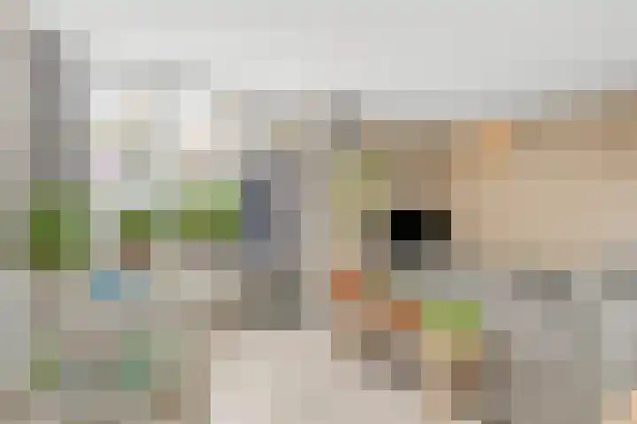 Ariënswei 3 Venlo thumbnail 5