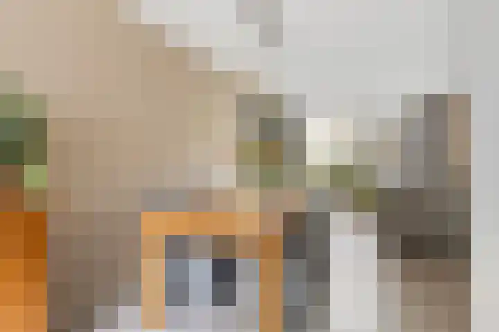 Ariënswei 3 Venlo thumbnail 9