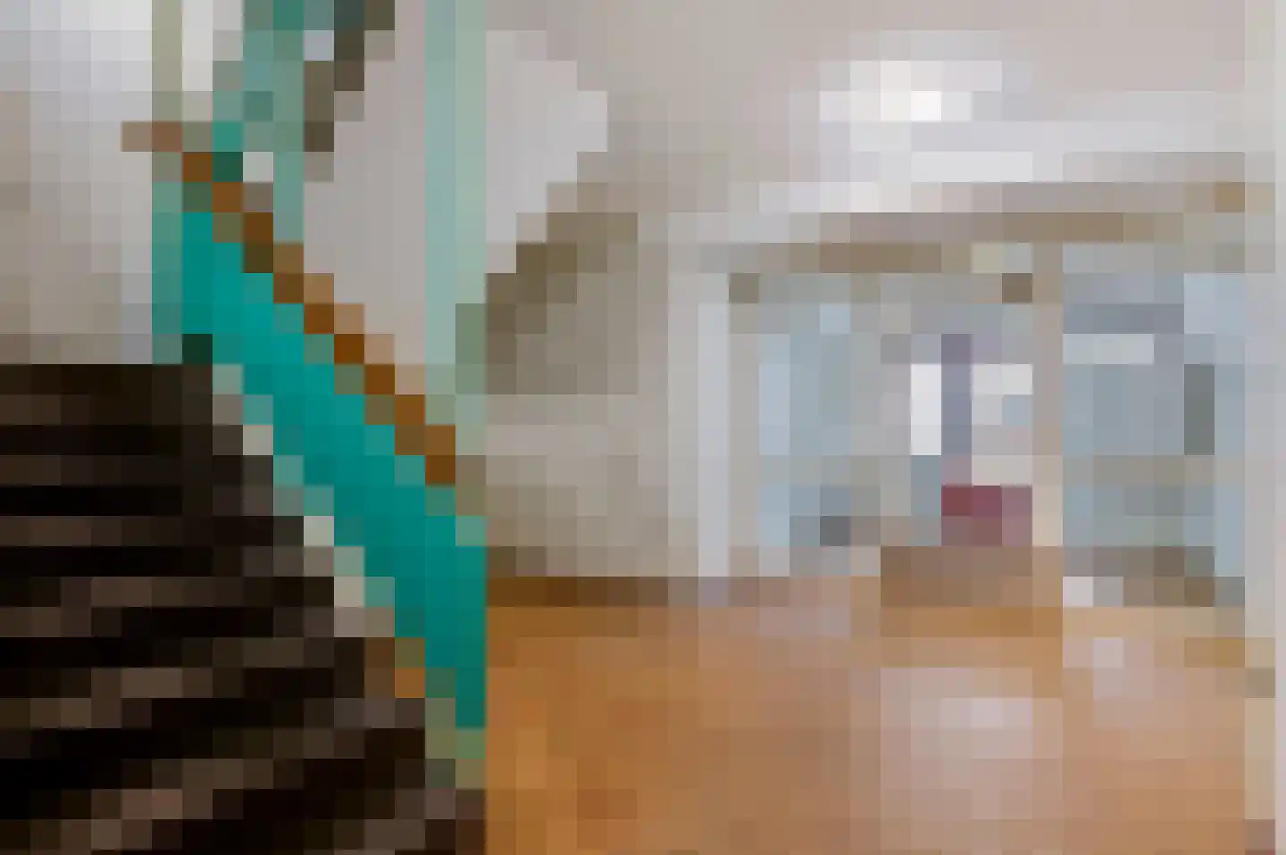 Ariënswei 78 Venlo thumbnail 6