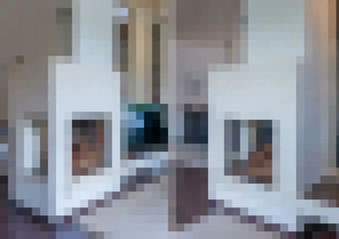 Arieslaan 5 Eindhoven thumbnail 12