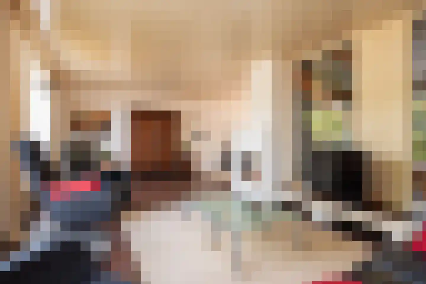 Arieslaan 5 Eindhoven thumbnail 13