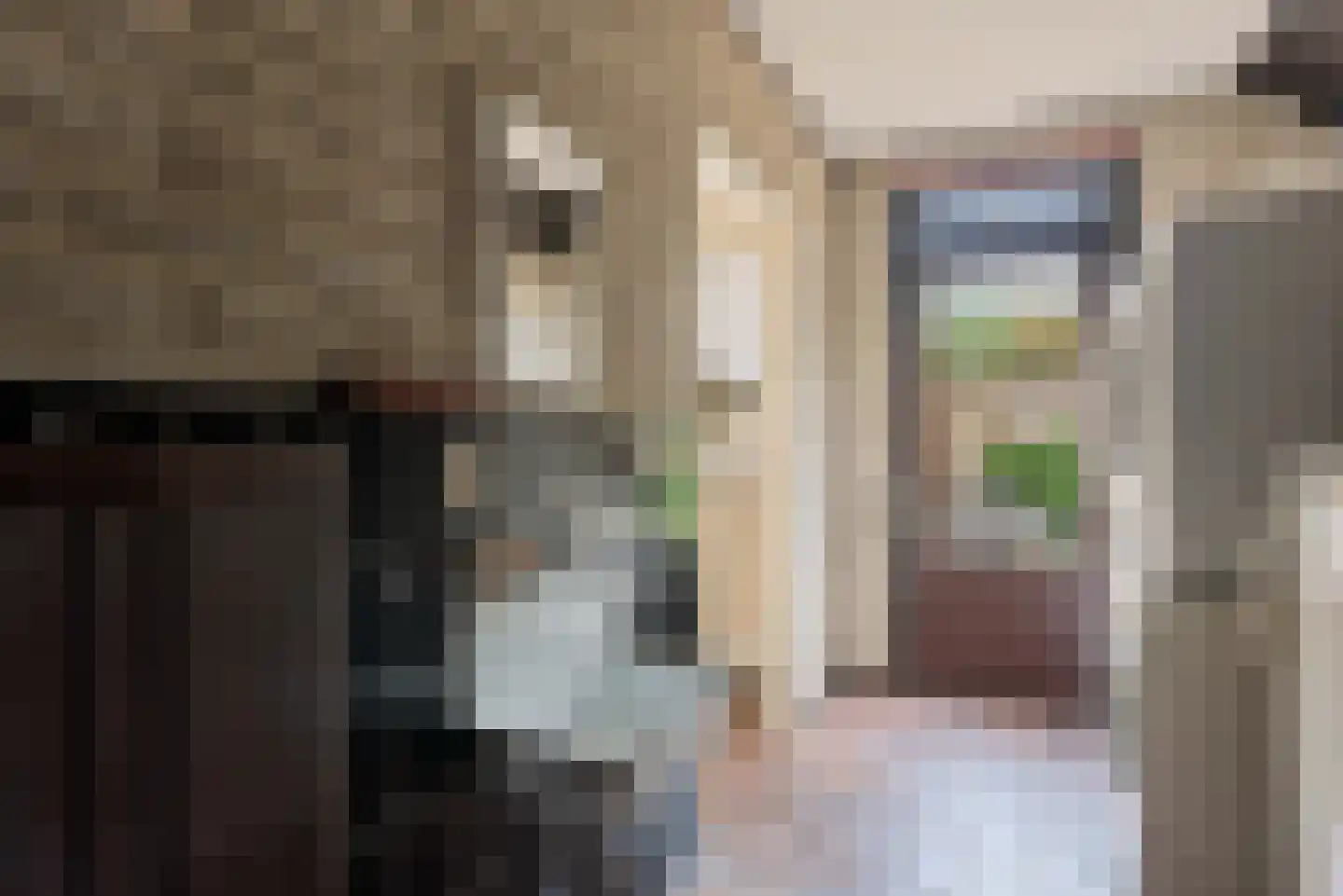 Arieslaan 5 Eindhoven thumbnail 23