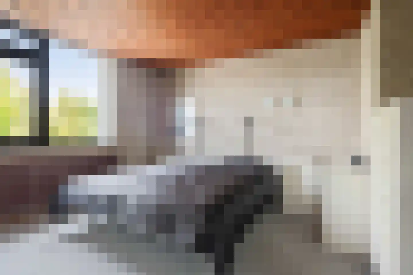 Arieslaan 5 Eindhoven thumbnail 34