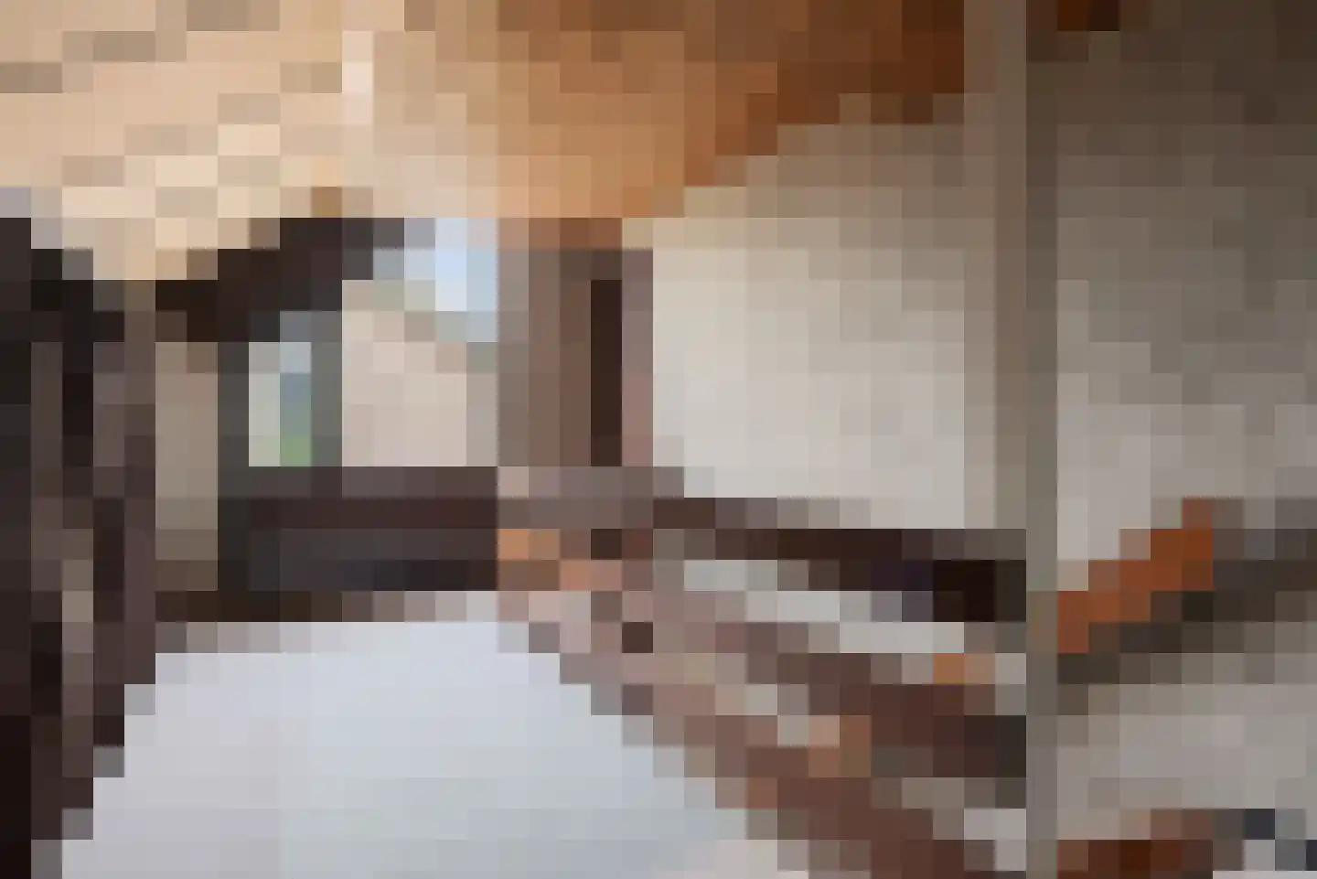 Arieslaan 5 Eindhoven thumbnail 37