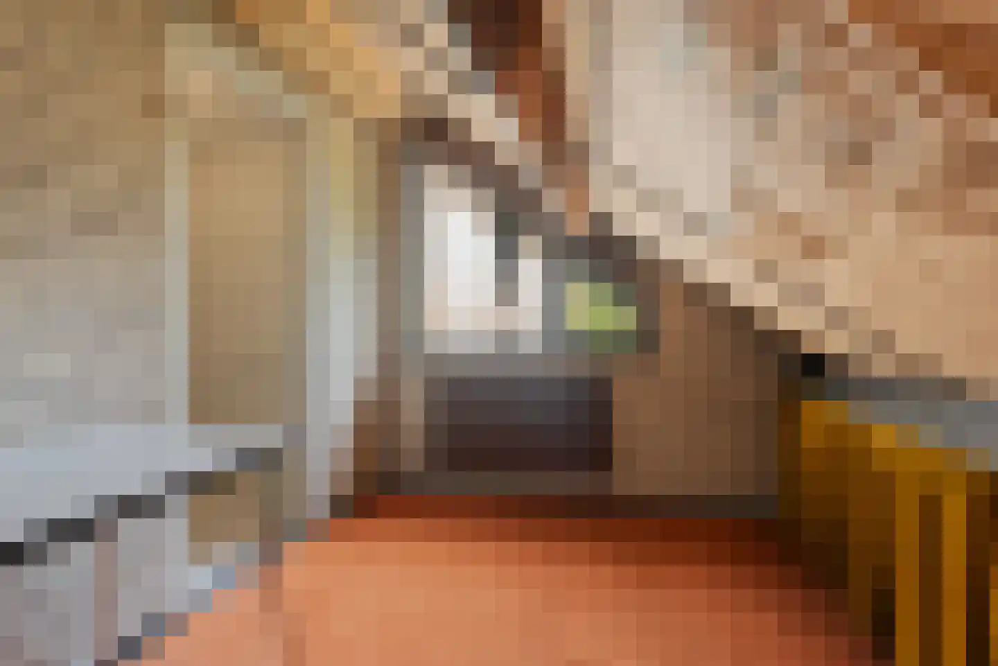 Arieslaan 5 Eindhoven thumbnail 40