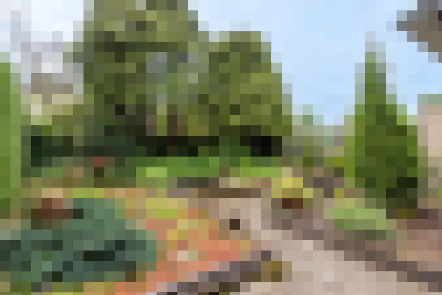 Arieslaan 5 Eindhoven thumbnail 49