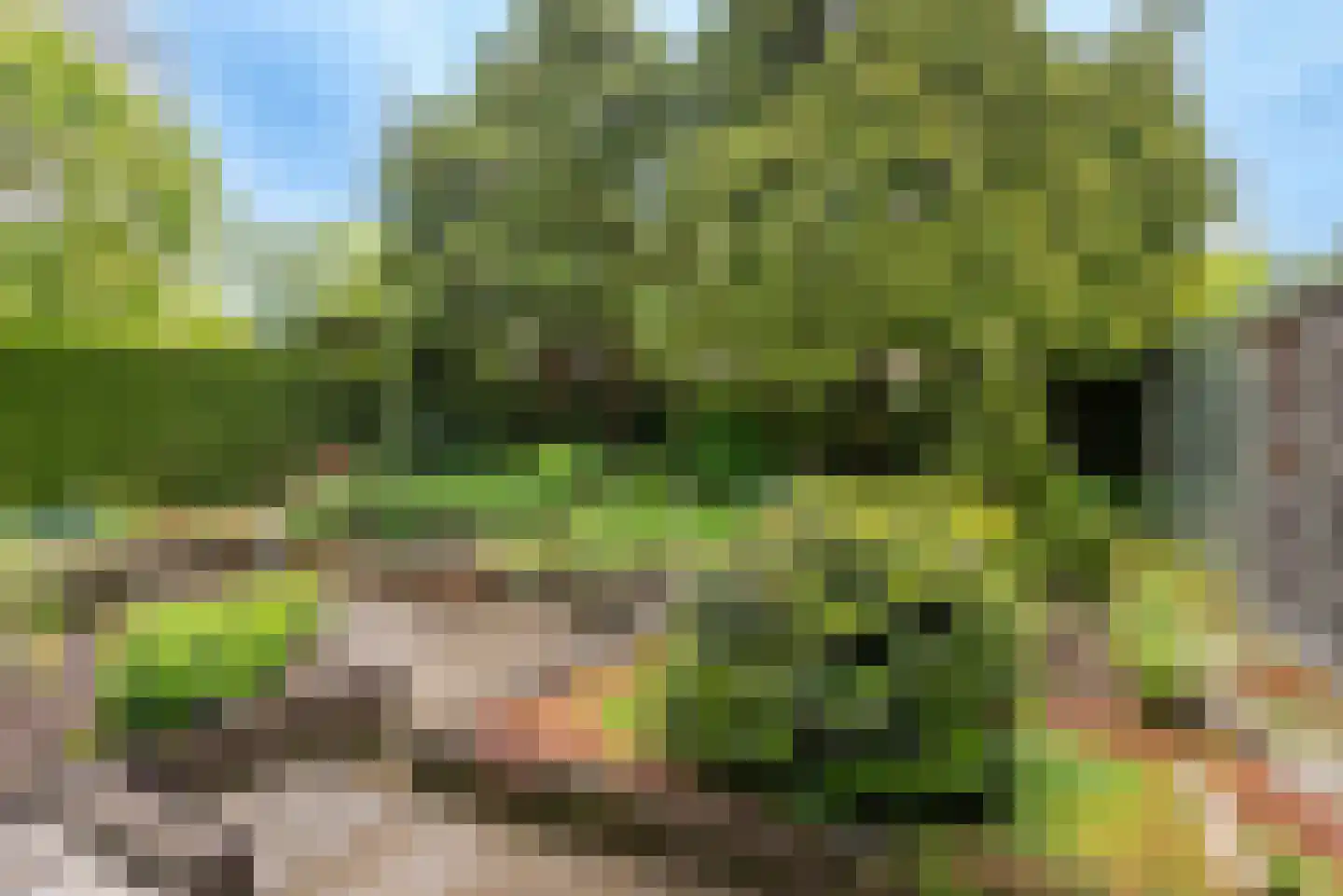 Arieslaan 5 Eindhoven thumbnail 5