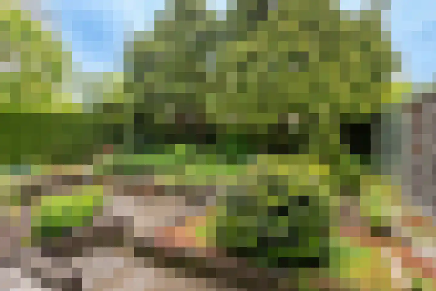 Arieslaan 5 Eindhoven thumbnail 50