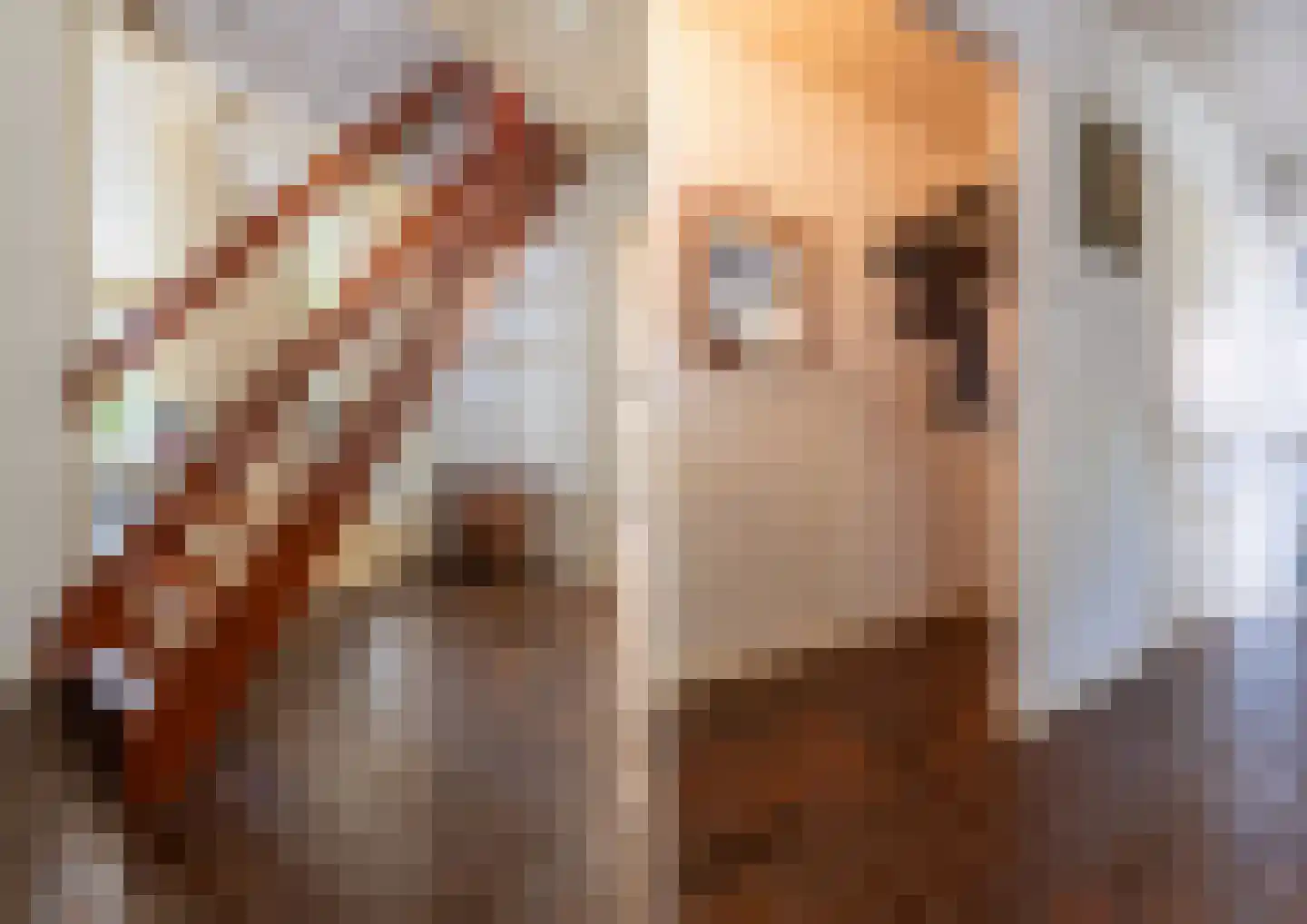 Arieslaan 5 Eindhoven thumbnail 6