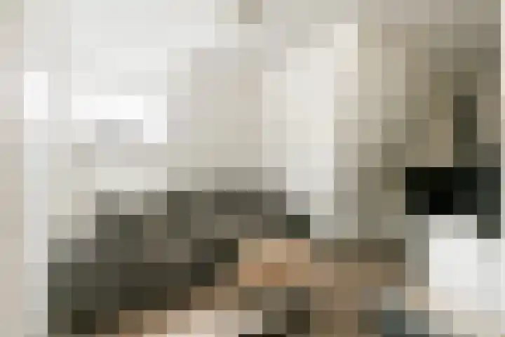 Aris van der Leystraat 2 C Zaandijk thumbnail 10