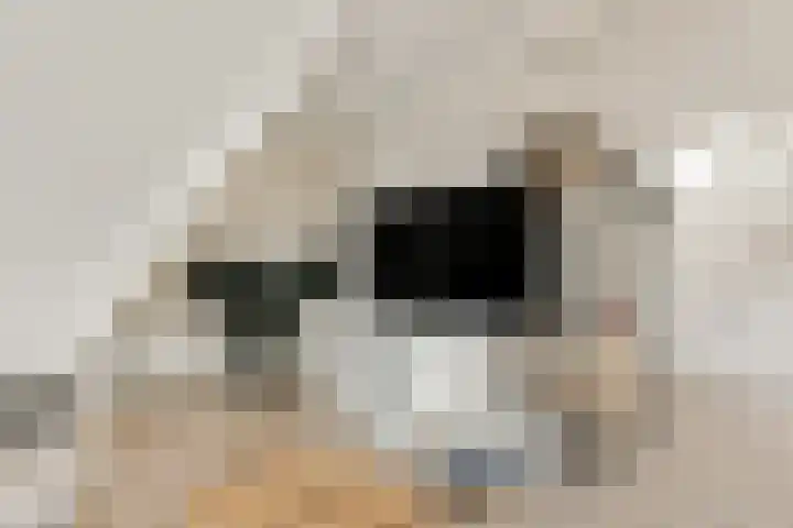 Aris van der Leystraat 2 C Zaandijk thumbnail 11