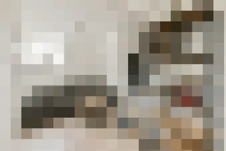 Aris van der Leystraat 2 C Zaandijk thumbnail 9