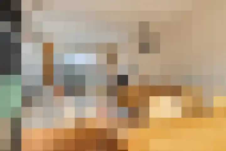 Aris van der Leystraat 8 Zaandijk thumbnail 10