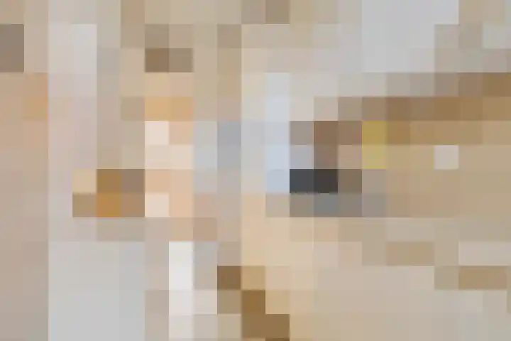 Aris van der Leystraat 8 Zaandijk thumbnail 14