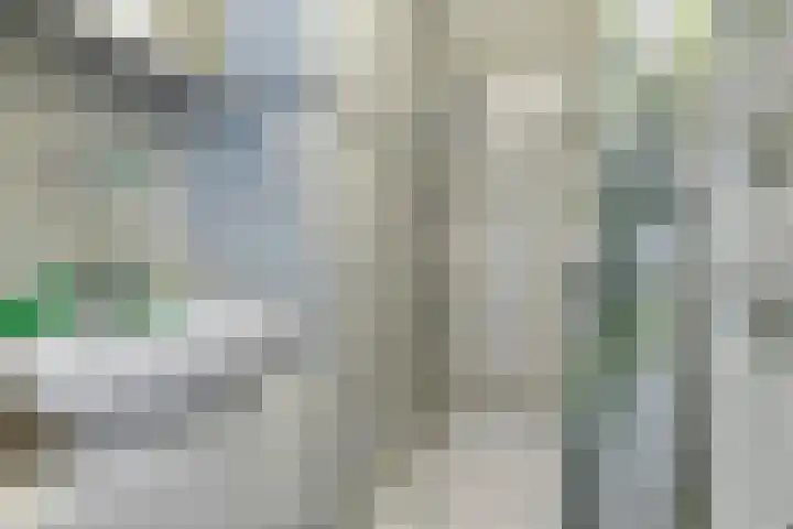 Aris van der Leystraat 8 Zaandijk thumbnail 21