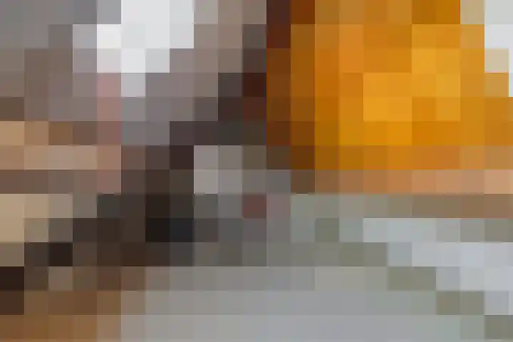 Aris van der Leystraat 8 Zaandijk thumbnail 23