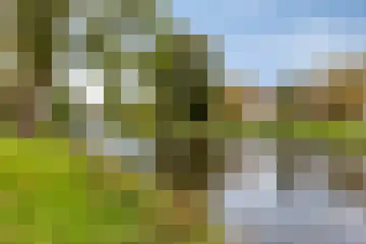Aris van der Leystraat 8 Zaandijk thumbnail 31