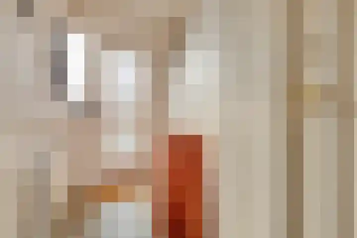 Aris van der Leystraat 8 Zaandijk thumbnail 5