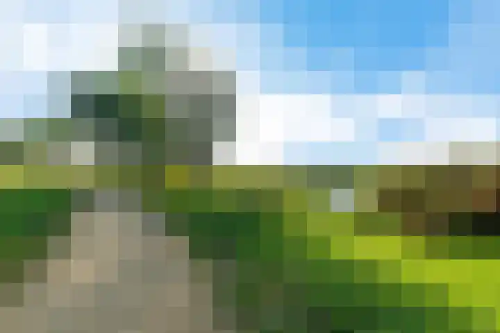 Arisstraat 3 Wormer thumbnail 38