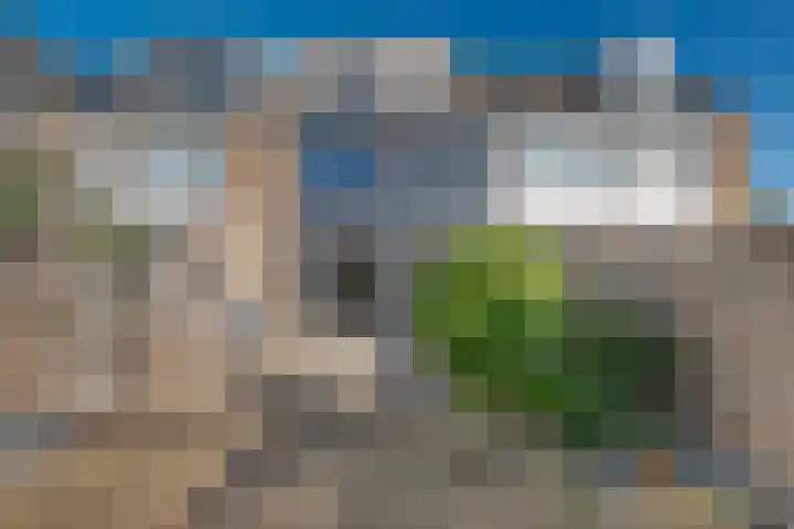 Arisstraat 3 Wormer thumbnail 4